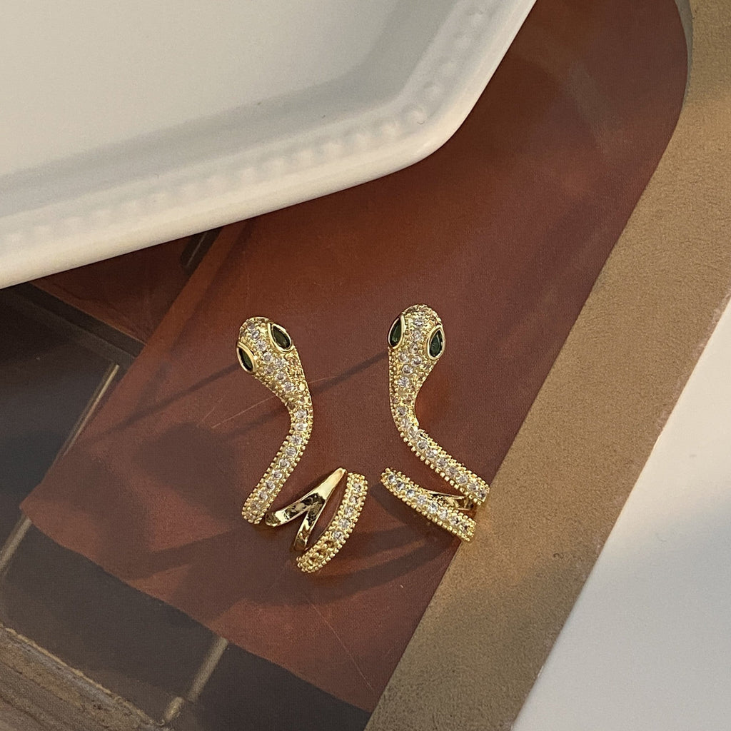 Beautiful Earring with Unique Style