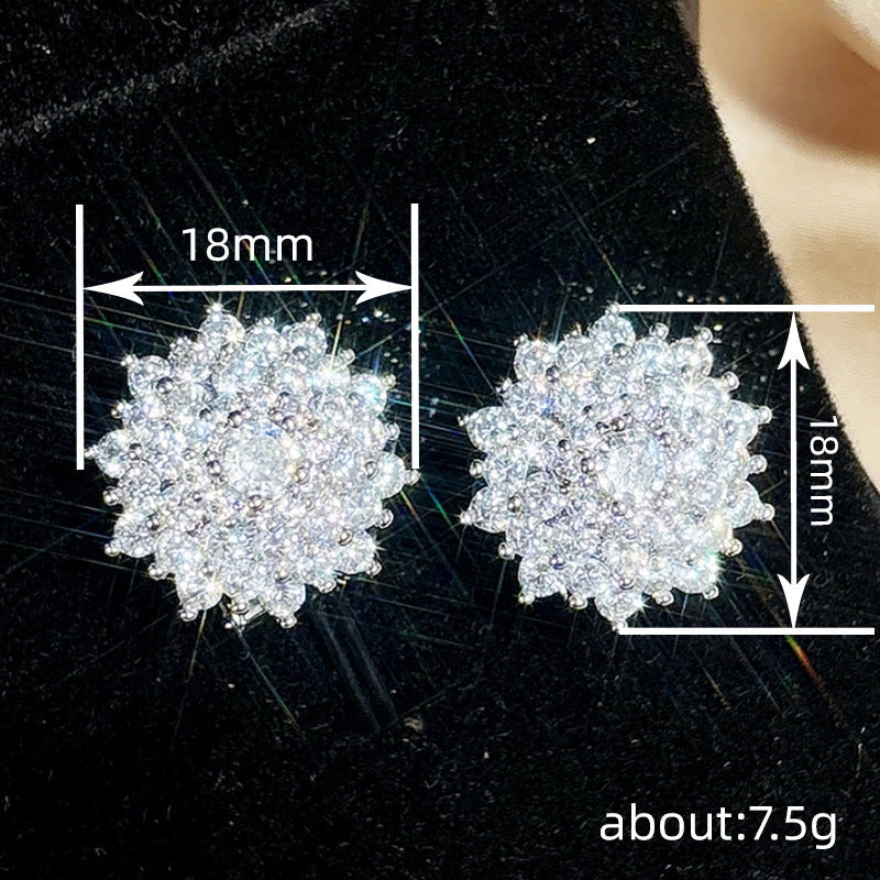 Beautiful Earring with Unique Style