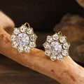 Classic Earring with Timeless Appeal