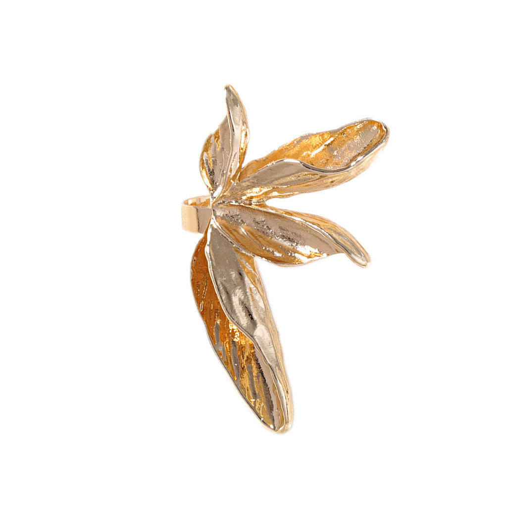 Charming Ring for Any Occasion