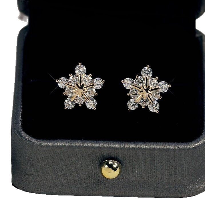 Stunning Earring for Daily Wear