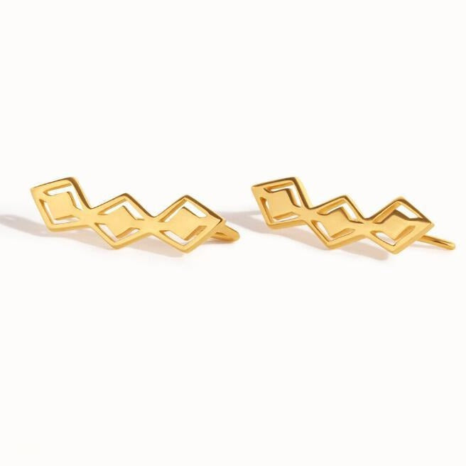 Stunning Earring for Daily Wear