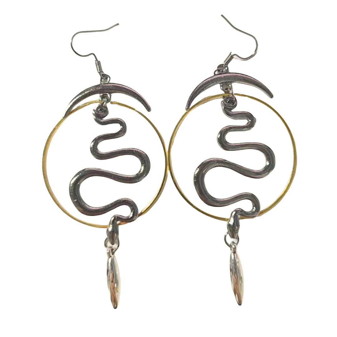 Charming Earring for Any Occasion
