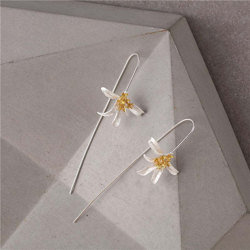 Beautiful Silver Earring with Unique Style