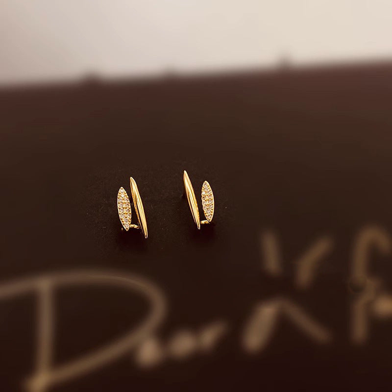 Beautiful Earring with Unique Style