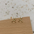 Charming Earring for Any Occasion