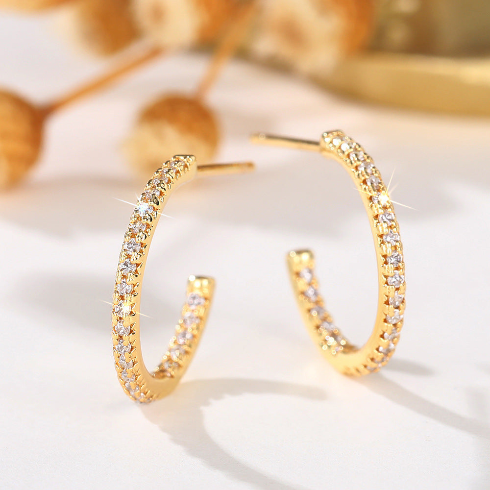 Charming Earring for Any Occasion