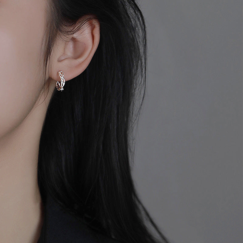 Stunning Earring for Daily Wear