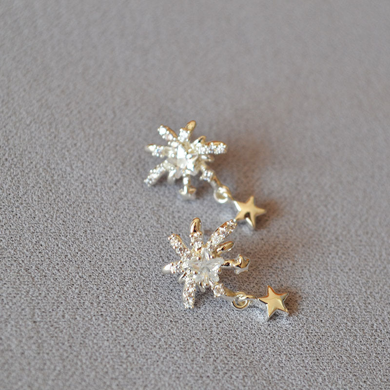 Beautiful Silver Earring with Unique Style