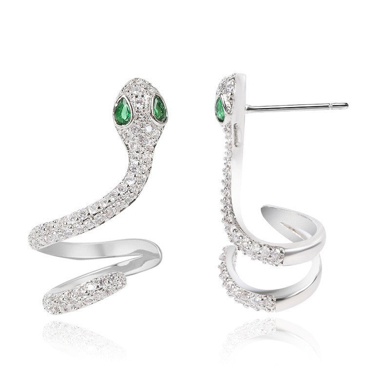 Beautiful Earring with Unique Style