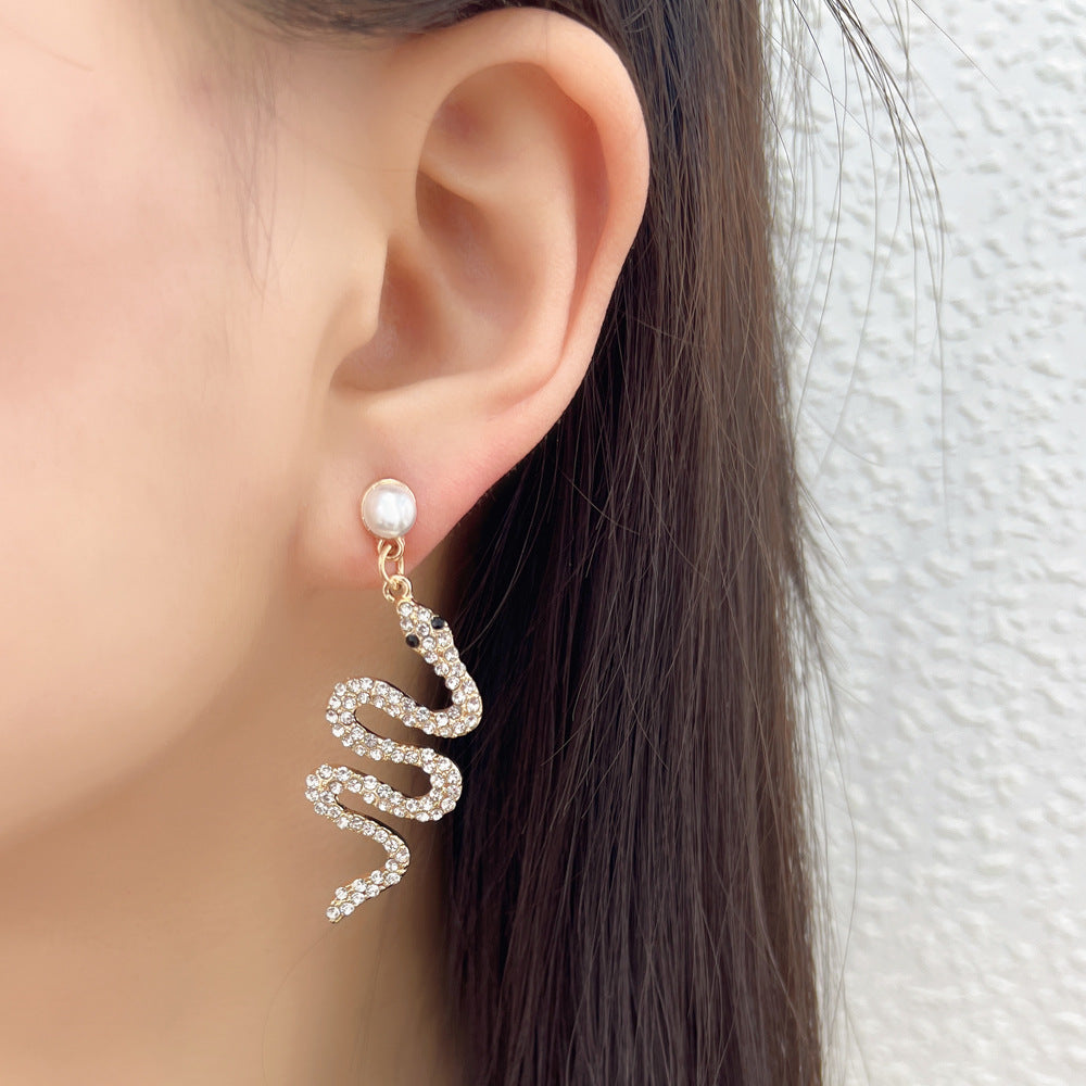 Beautiful Earring with Unique Style