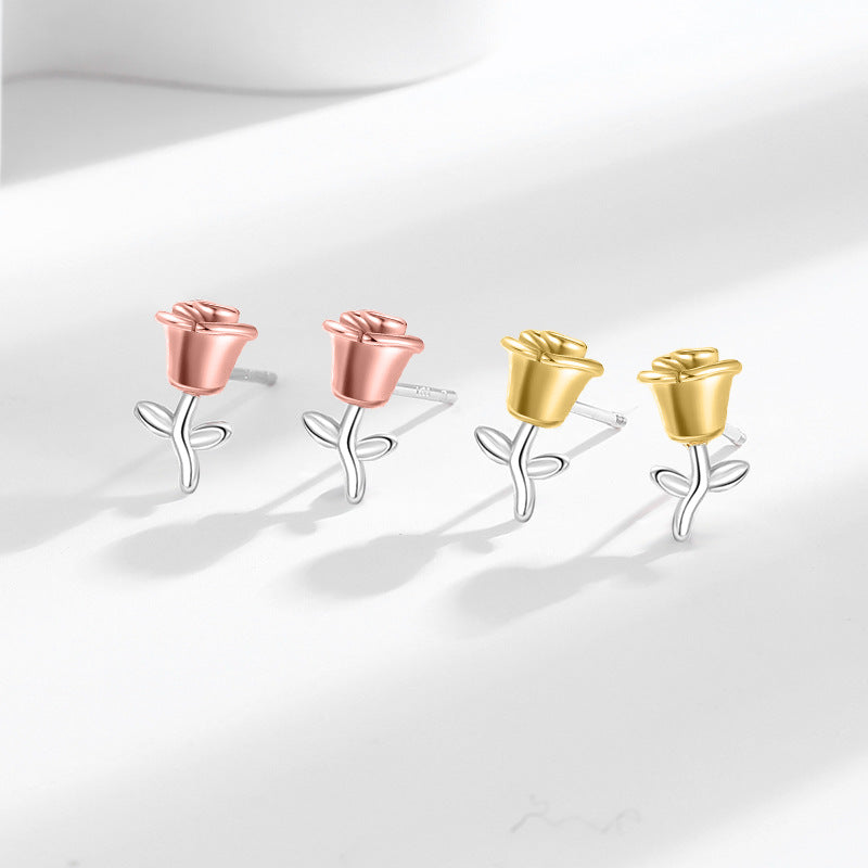 Stunning Earring for Daily Wear