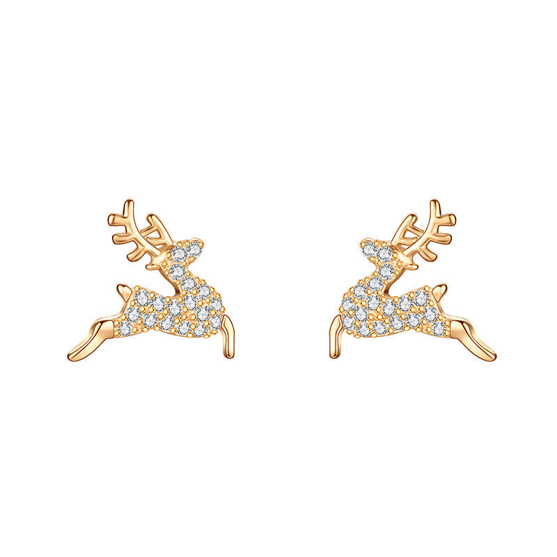 Charming Earring for Any Occasion