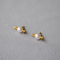 Beautiful Silver Earring with Unique Style