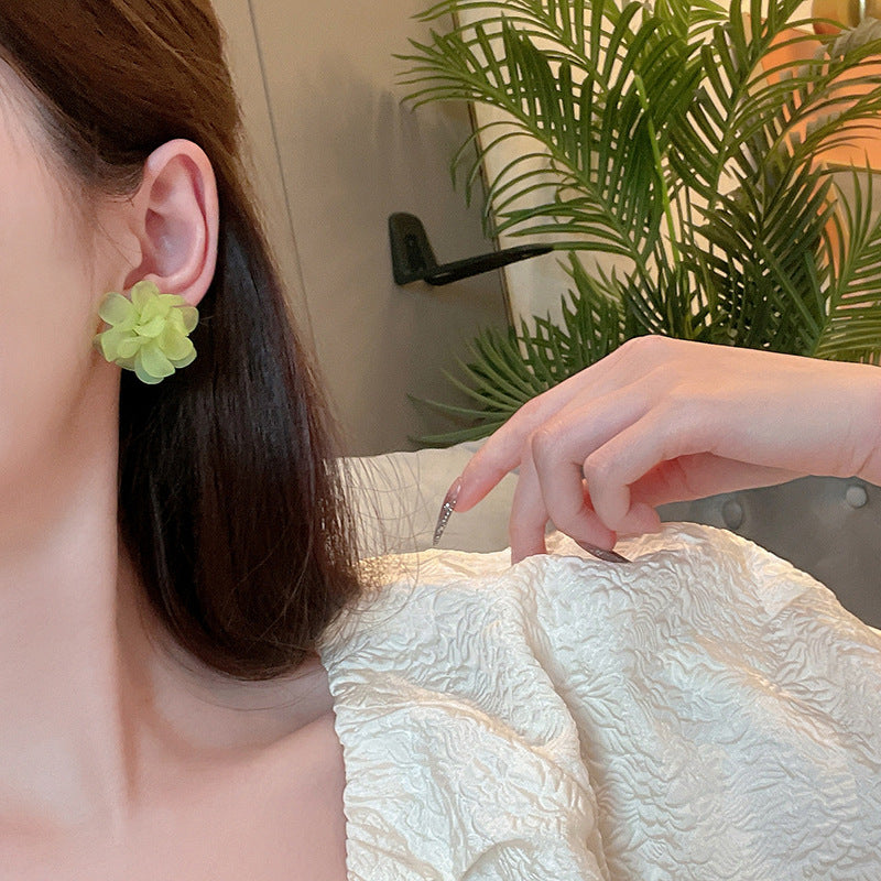 Charming Earring for Any Occasion