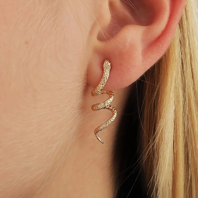 Beautiful Earring with Unique Style
