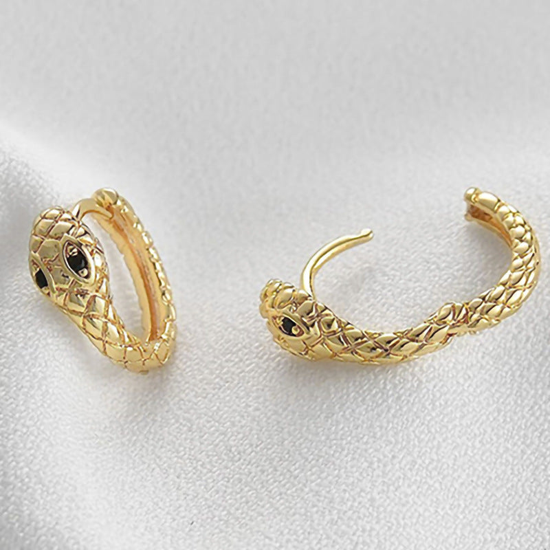 Stunning Earring for Daily Wear