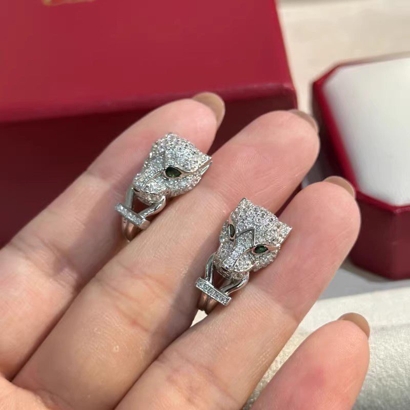 Charming Earring for Any Occasion