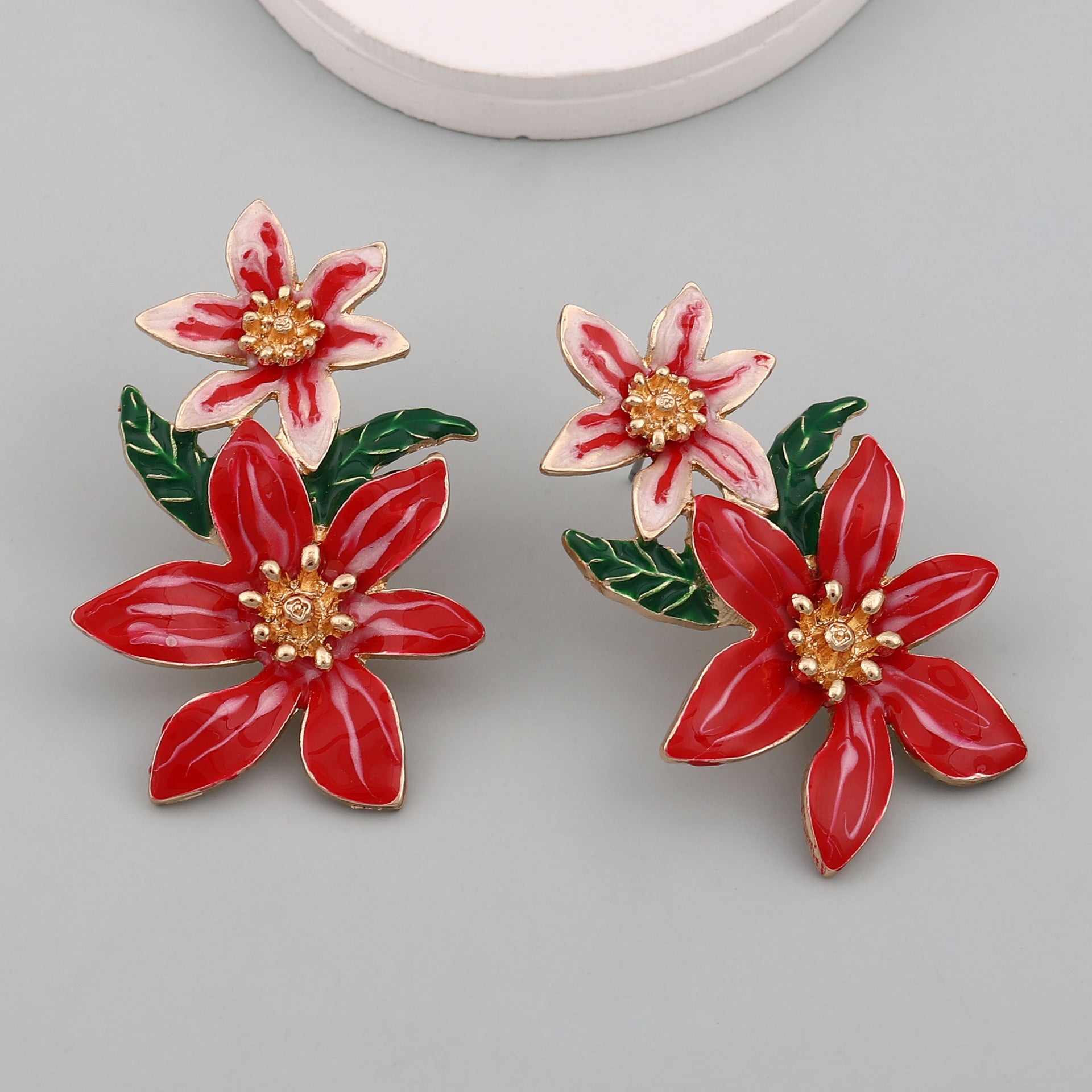 Charming Earring for Any Occasion