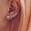 Charming Set for Any Occasion