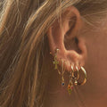 Elegant Earring for Every Occasion