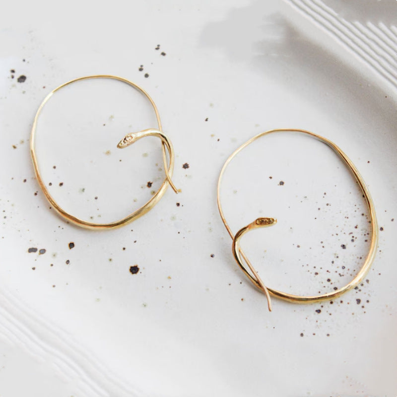 Stunning Earring for Daily Wear