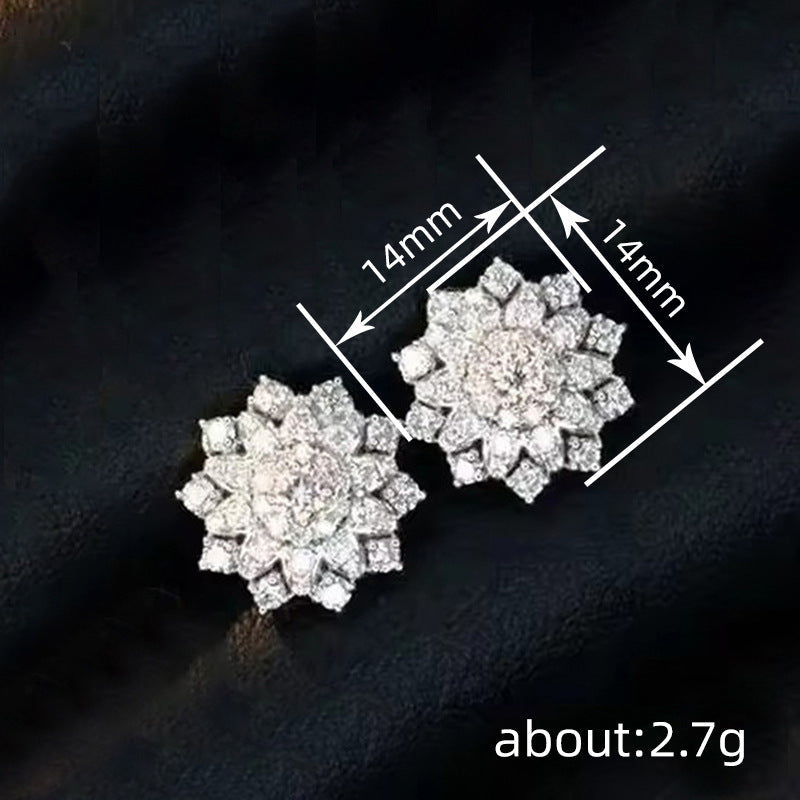 Stunning Earring for Daily Wear