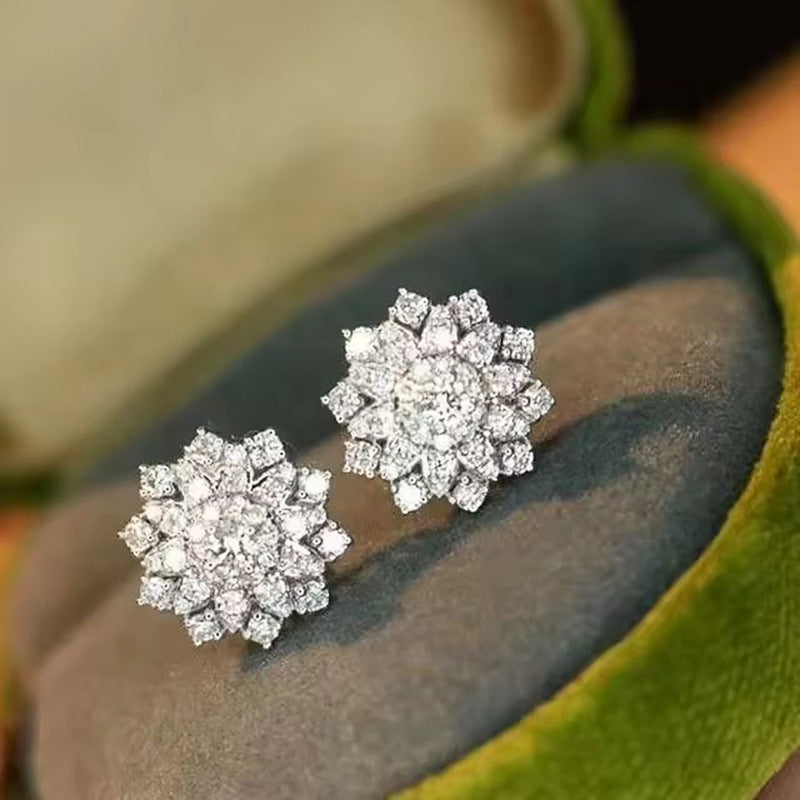 Stunning Earring for Daily Wear