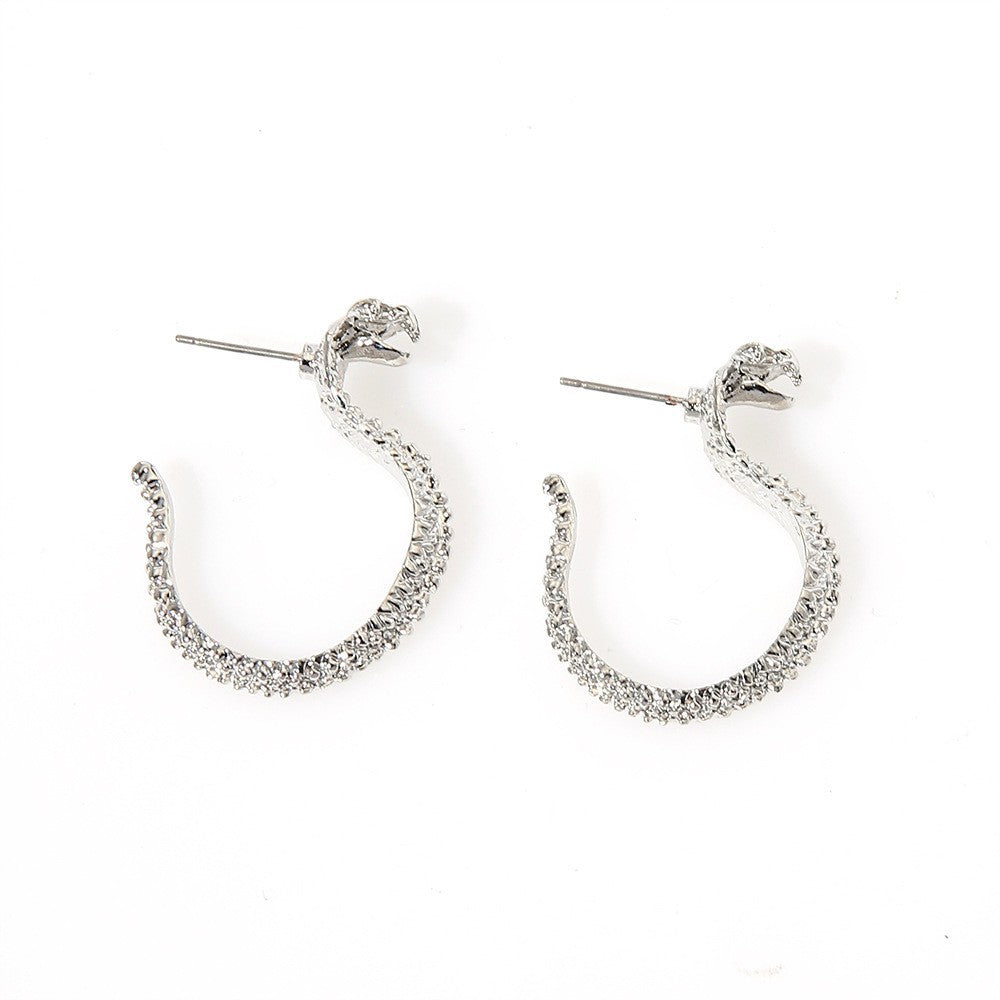 Elegant Earring for Every Occasion