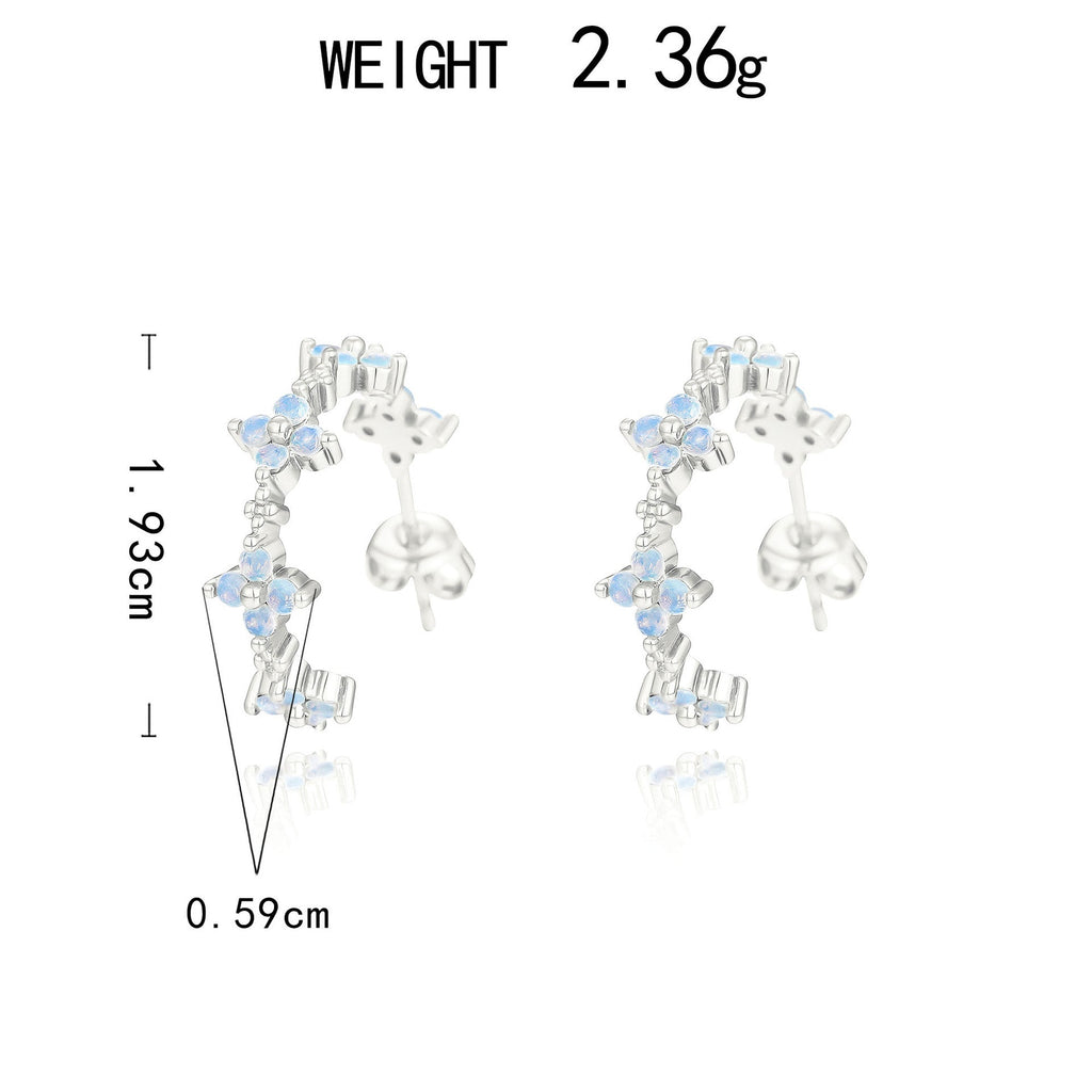 Beautiful Silver Earring with Unique Style