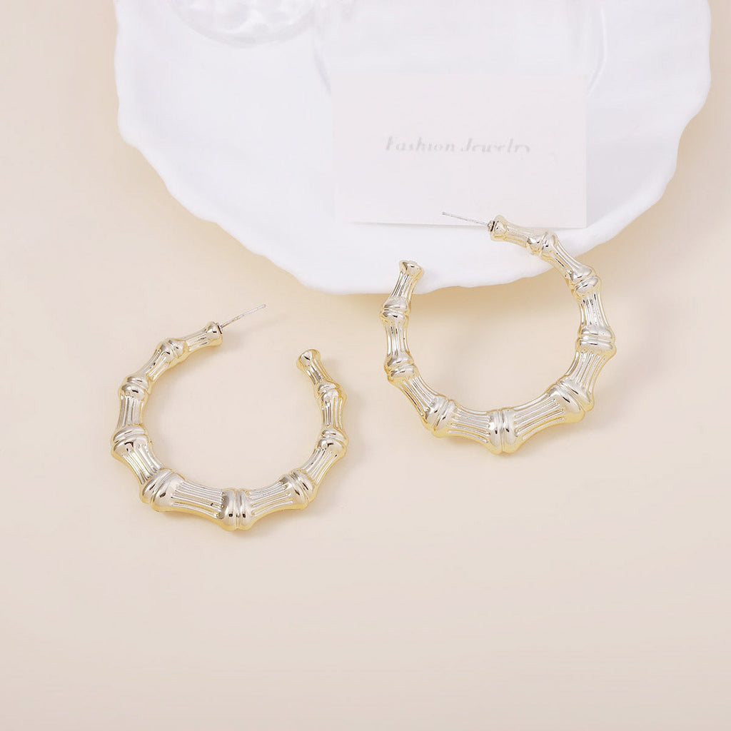 Stunning Earring for Daily Wear