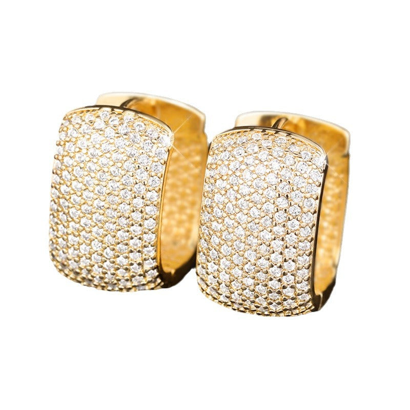 Charming Earring for Any Occasion