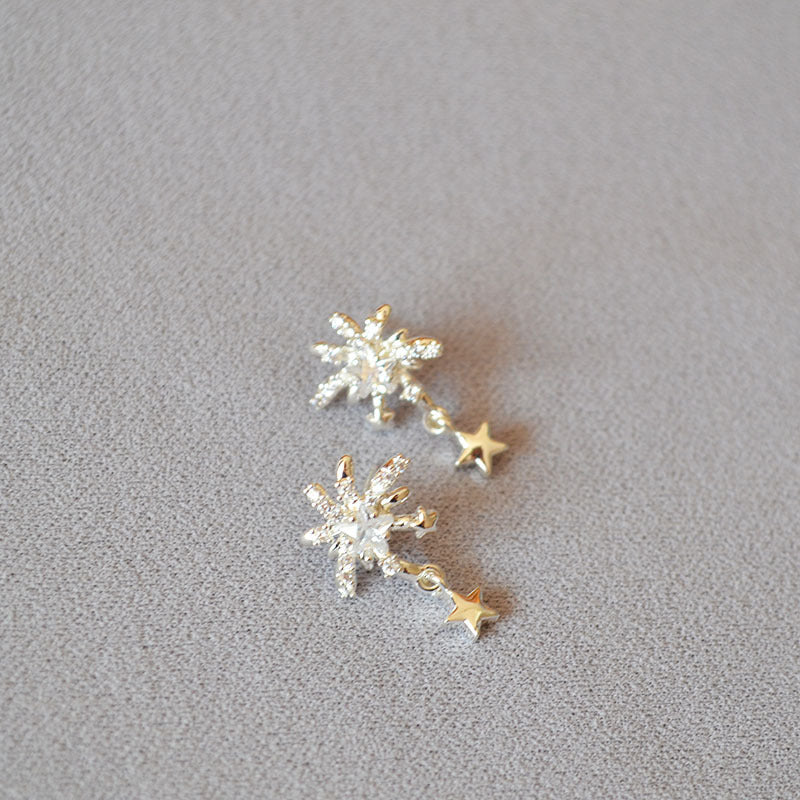 Beautiful Silver Earring with Unique Style