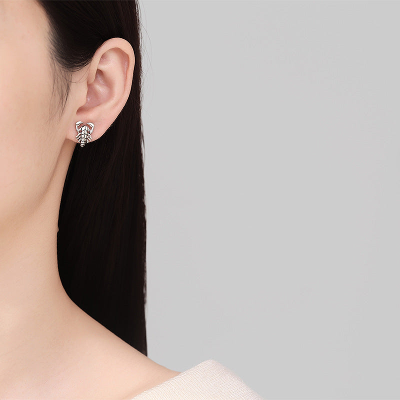 Elegant Silver Earring for Every Occasion