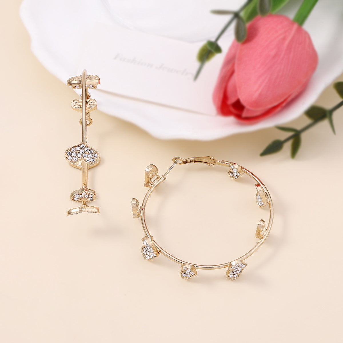 Beautiful Earring with Unique Style