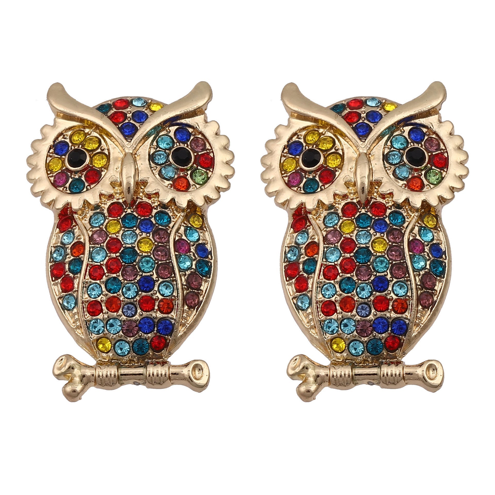 Charming Earring for Any Occasion
