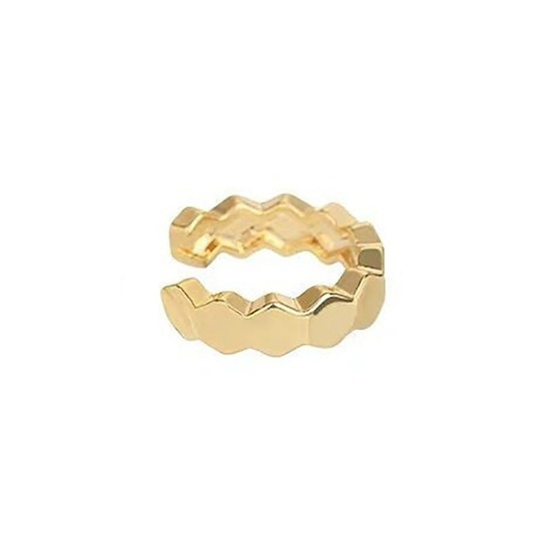 Stunning Earring for Daily Wear