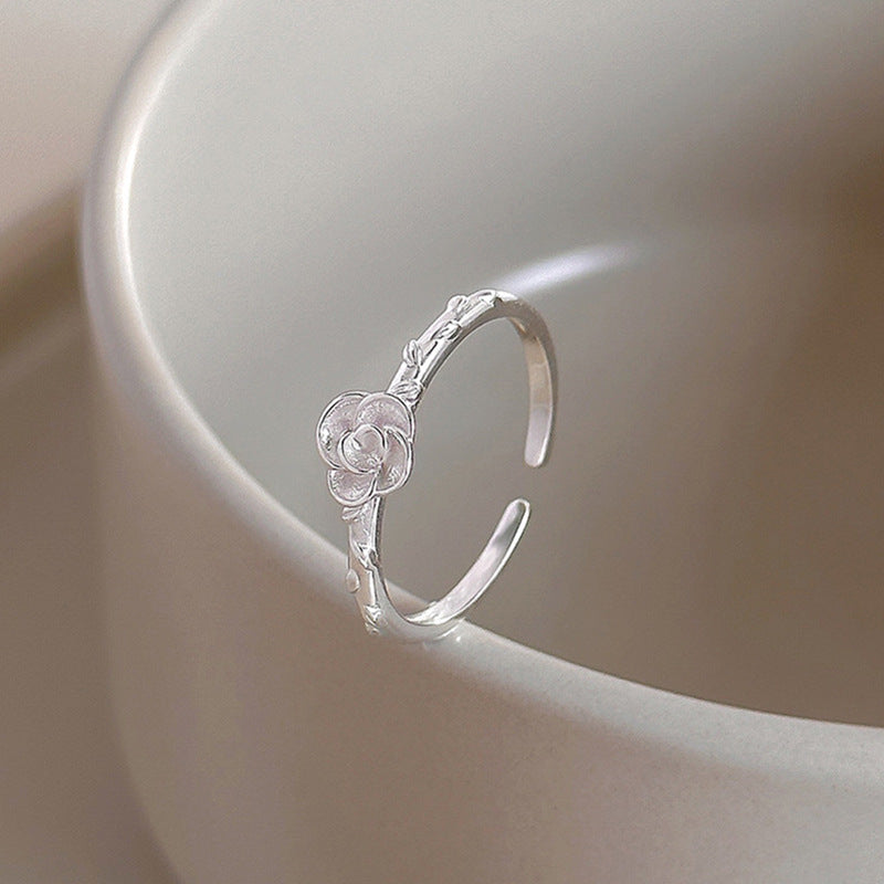 Romantic Ring for Special Moments