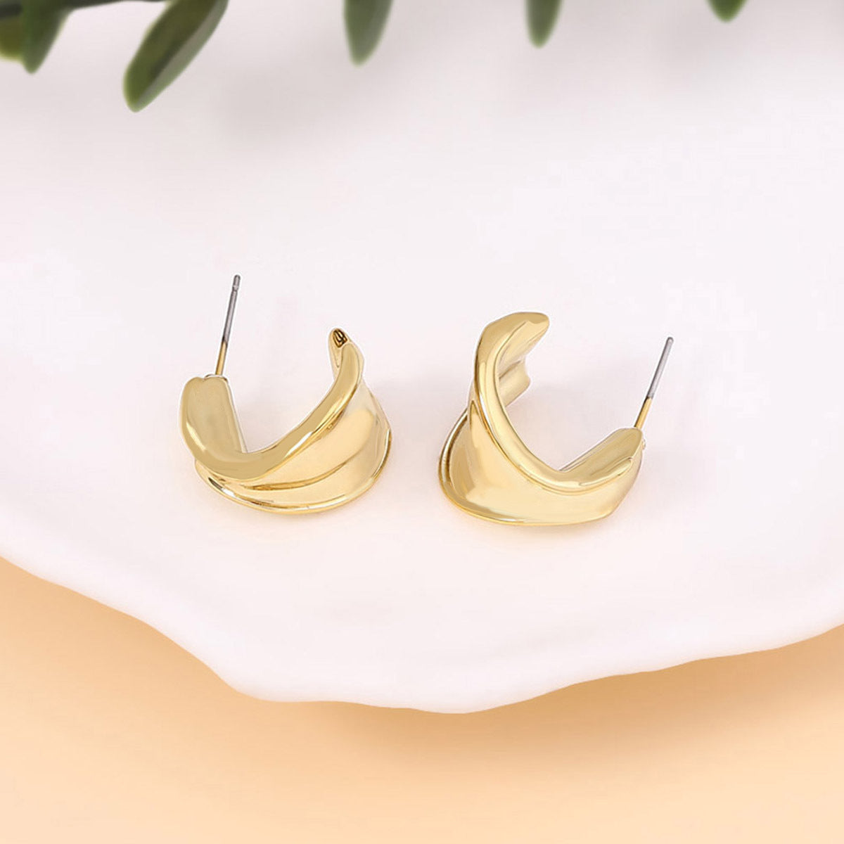 Beautiful Earring with Unique Style