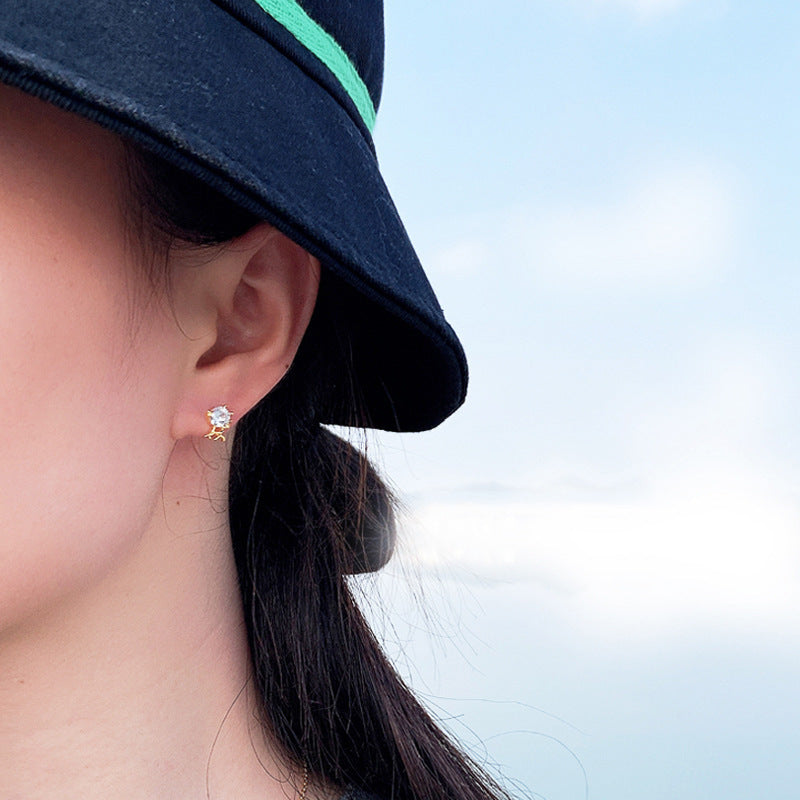 Beautiful Earring with Unique Style