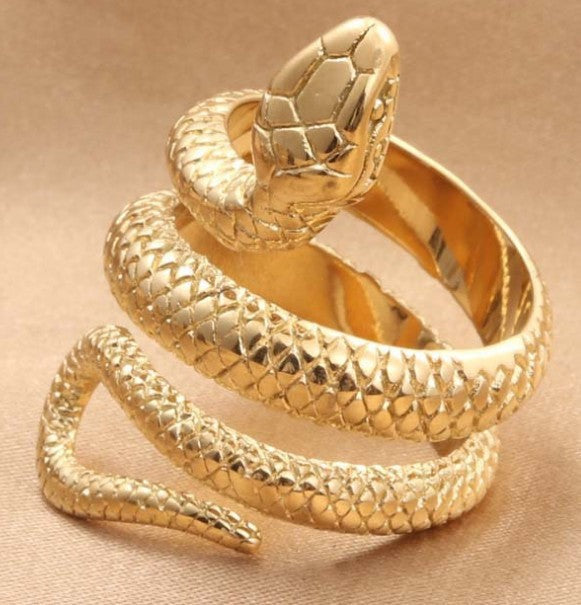 Classic Ring with Timeless Appeal
