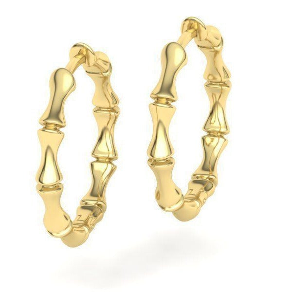 Charming Earring for Any Occasion