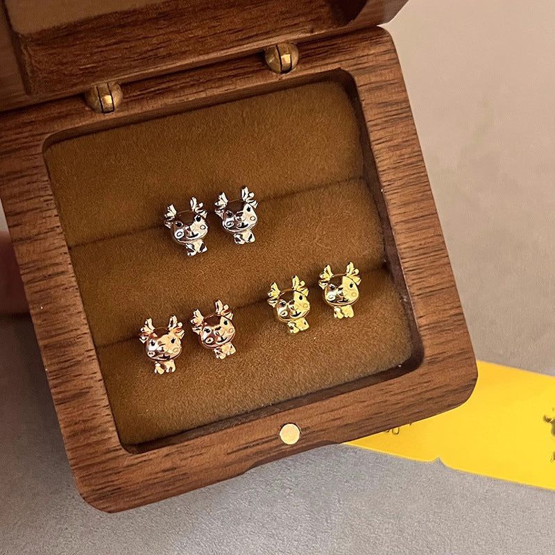 Stunning Earring for Daily Wear