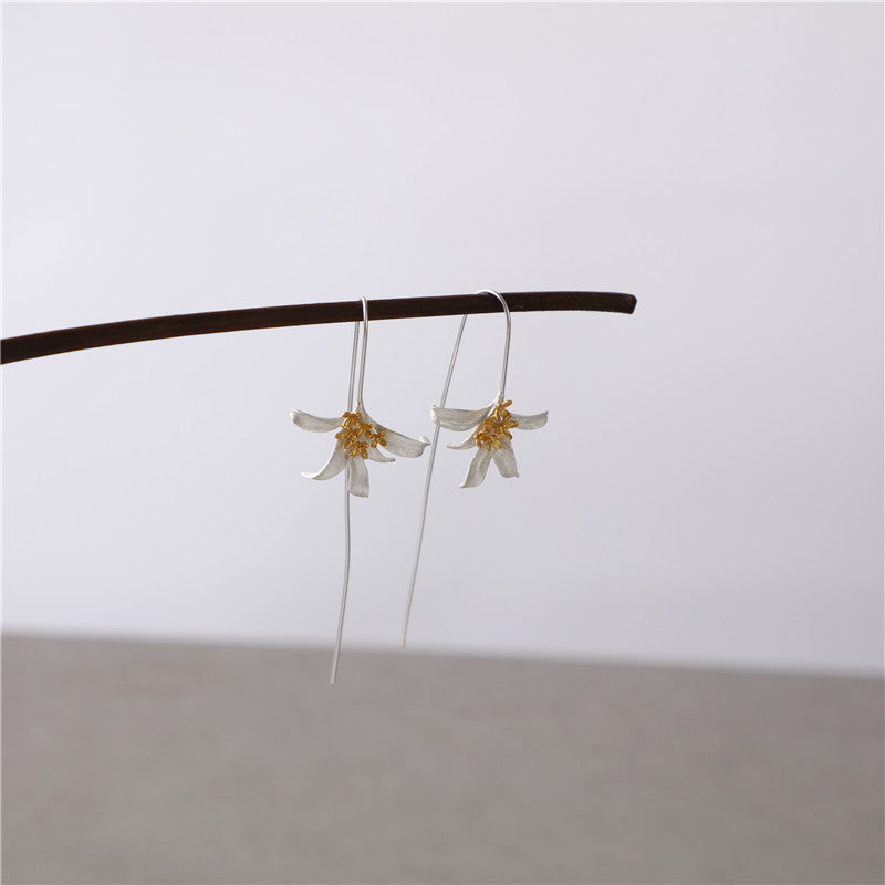 Beautiful Silver Earring with Unique Style