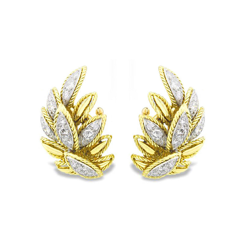 Romantic Earring for Special Moments