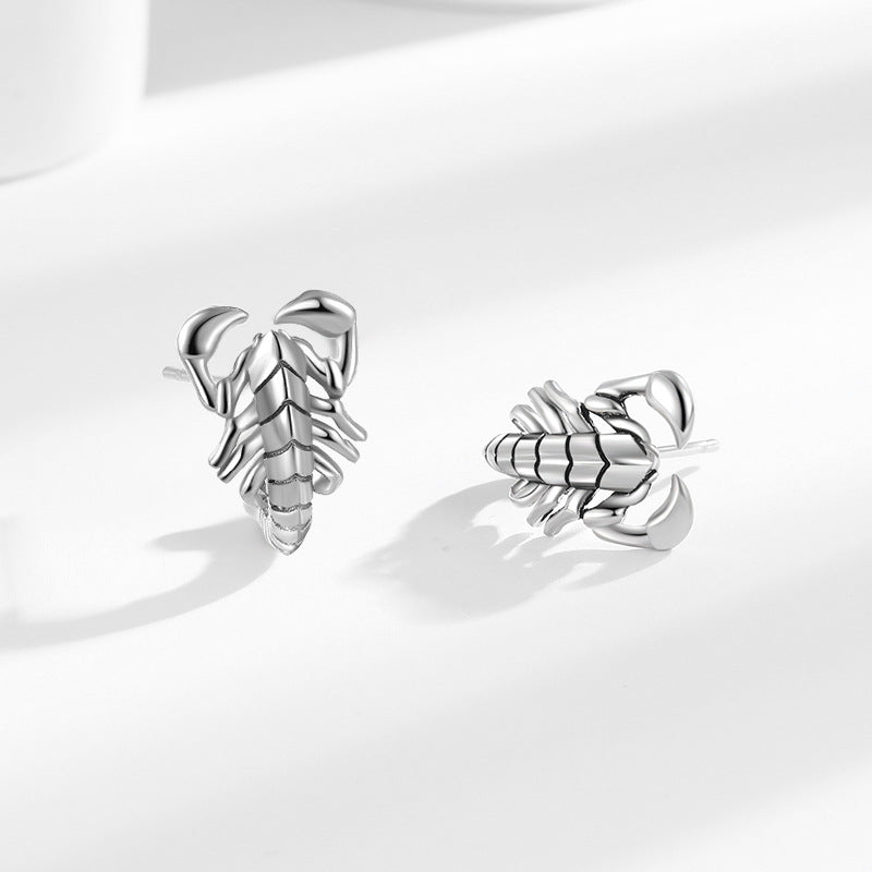 Elegant Silver Earring for Every Occasion