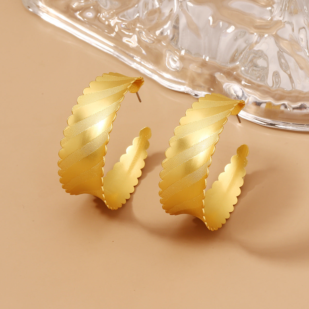 Charming Earring for Any Occasion