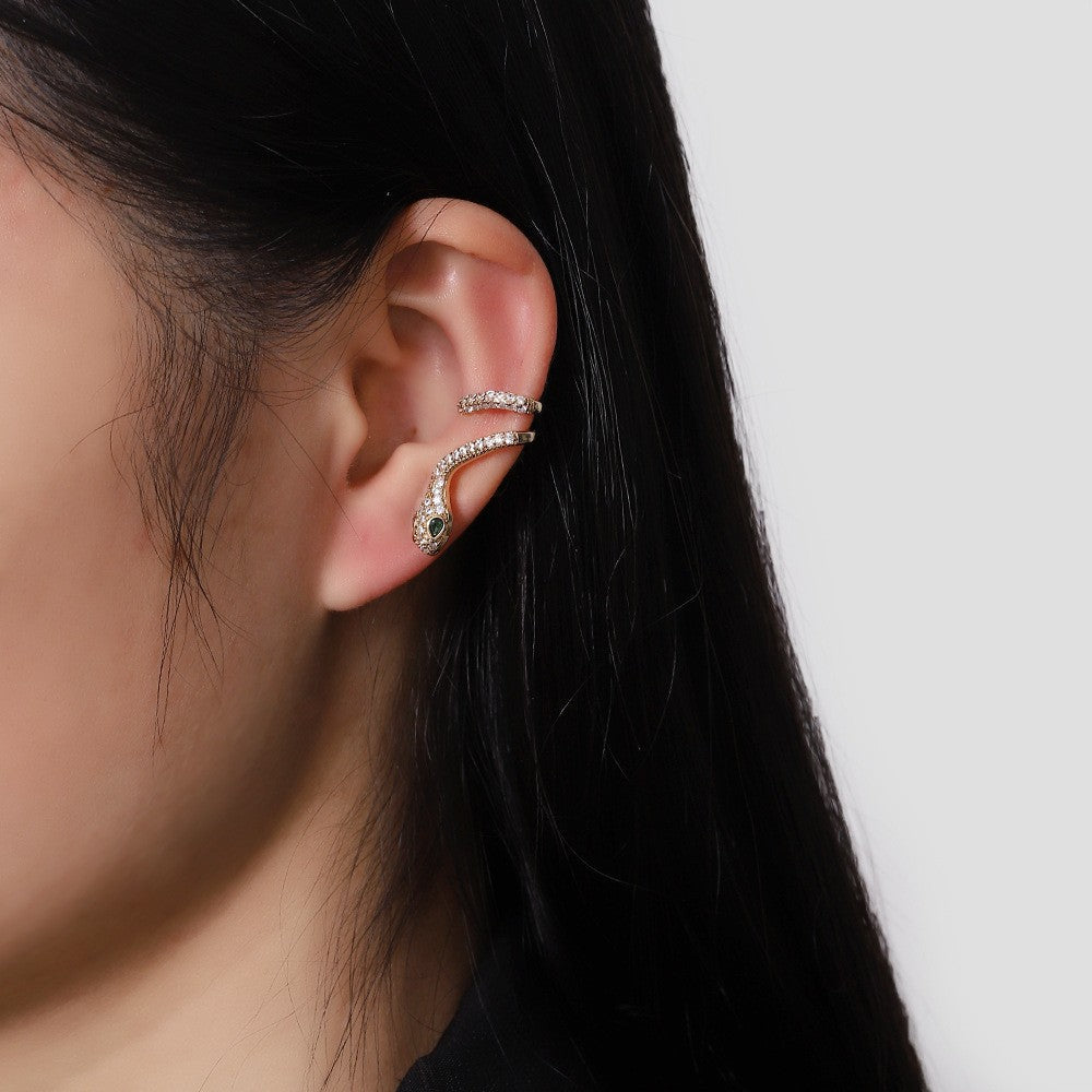 Beautiful Earring with Unique Style