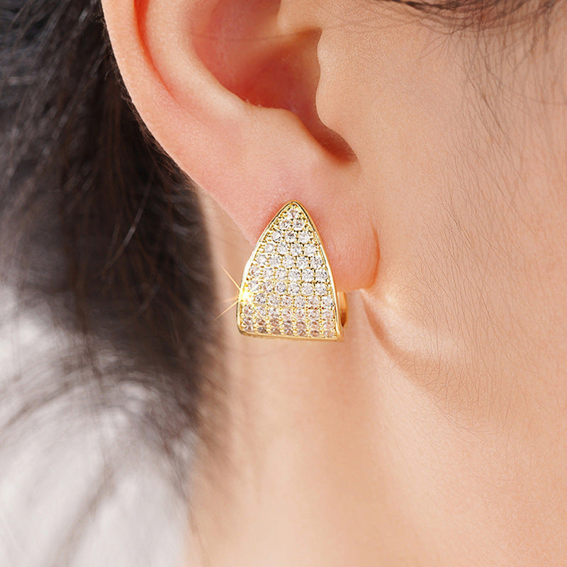 Stunning Earring for Daily Wear
