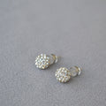 Stunning Silver Earring for Daily Wear